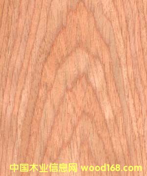 �c(di��n)���鿴��ľ�Ƽ�ľƤ��Ԕ��(x��)�Y��