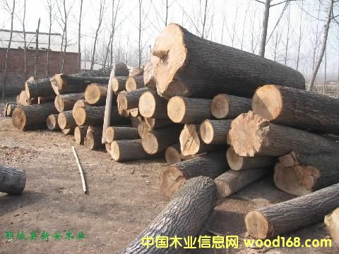 �c(di��n)���鿴ԭľ����Ŵ�DƬ