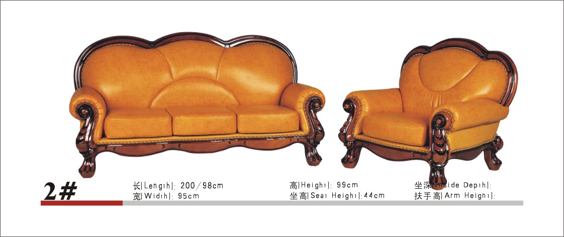 �c���鿴gj201�Ŵ�DƬ