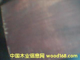 ����ľ���Ԕ����B