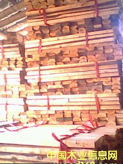 ɼľ���\�ϵ�Ԕ��(x��)��B