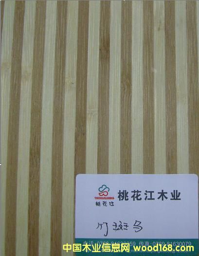 ������Ƭ��Ԕ��(x��)��B