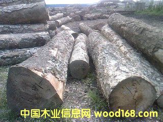 ��ľ1��Ԕ��(x��)��B