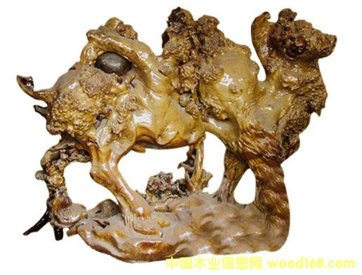 ������ľ��ˇƷ-������