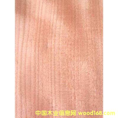 �t���ҵ�Ԕ��(x��)��B