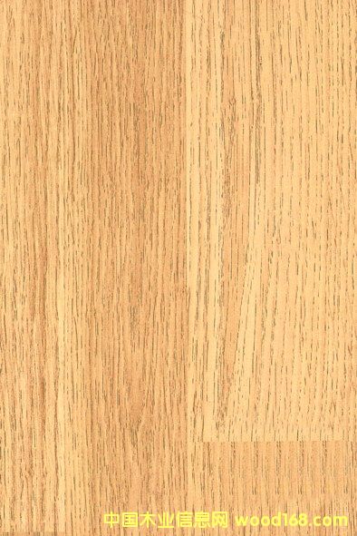 ���n����Ԕ��(x��)��B