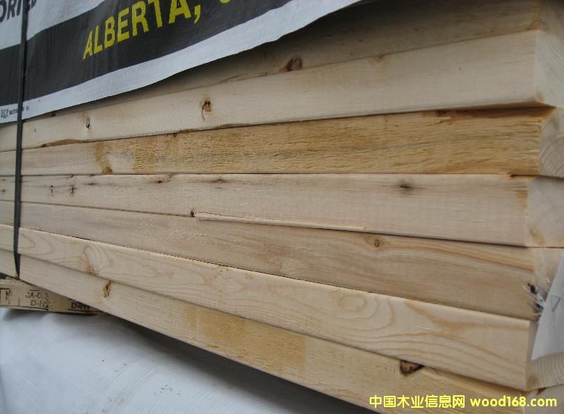 SPF ����(j��)��Ԕ��(x��)��B