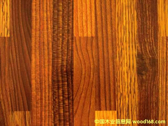 �c(di��n)���鿴���n���Ŵ�DƬ