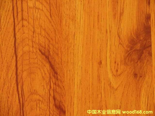 �c(di��n)���鿴���n���Ŵ�DƬ