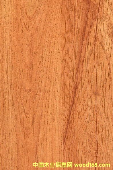 �c(di��n)���鿴���n���Ŵ�DƬ