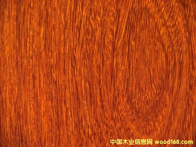 �c(di��n)���鿴���n���Ŵ�DƬ