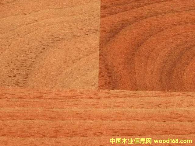 �c(di��n)���鿴���n���Ŵ�DƬ