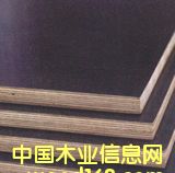 �c���鿴����ģ���Ԕ���Y��