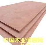 �c(di��n)���鿴�z�ϰ�Ŵ�DƬ