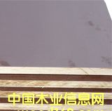 �c(di��n)���鿴����ģ��Ŵ�DƬ