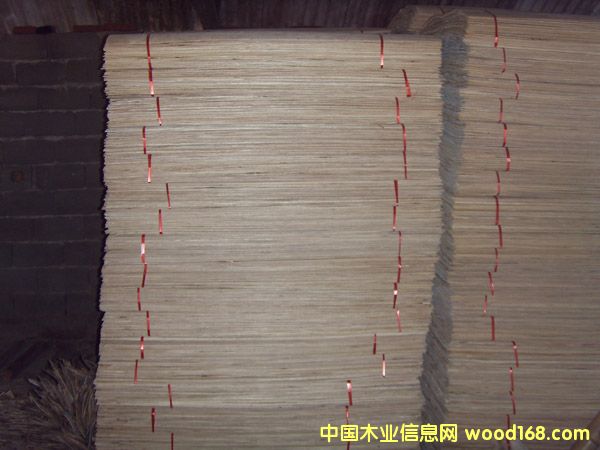 �c���鿴��ľ��Ŵ�DƬ