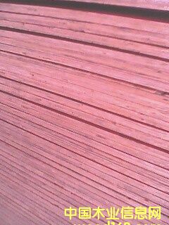 �c(di��n)���鿴����ģ��Ŵ�DƬ