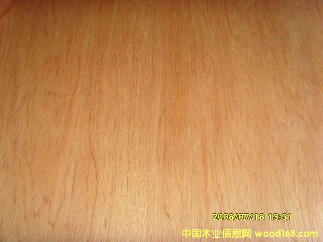 �c���鿴�sľ�ΰ�Ŵ�DƬ