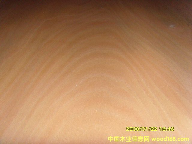 �c���鿴�W�����ΰ�Ŵ�DƬ