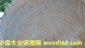 �����Ԕ��(x��)��B