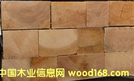 Hemlock��Ԕ��(x��)��B