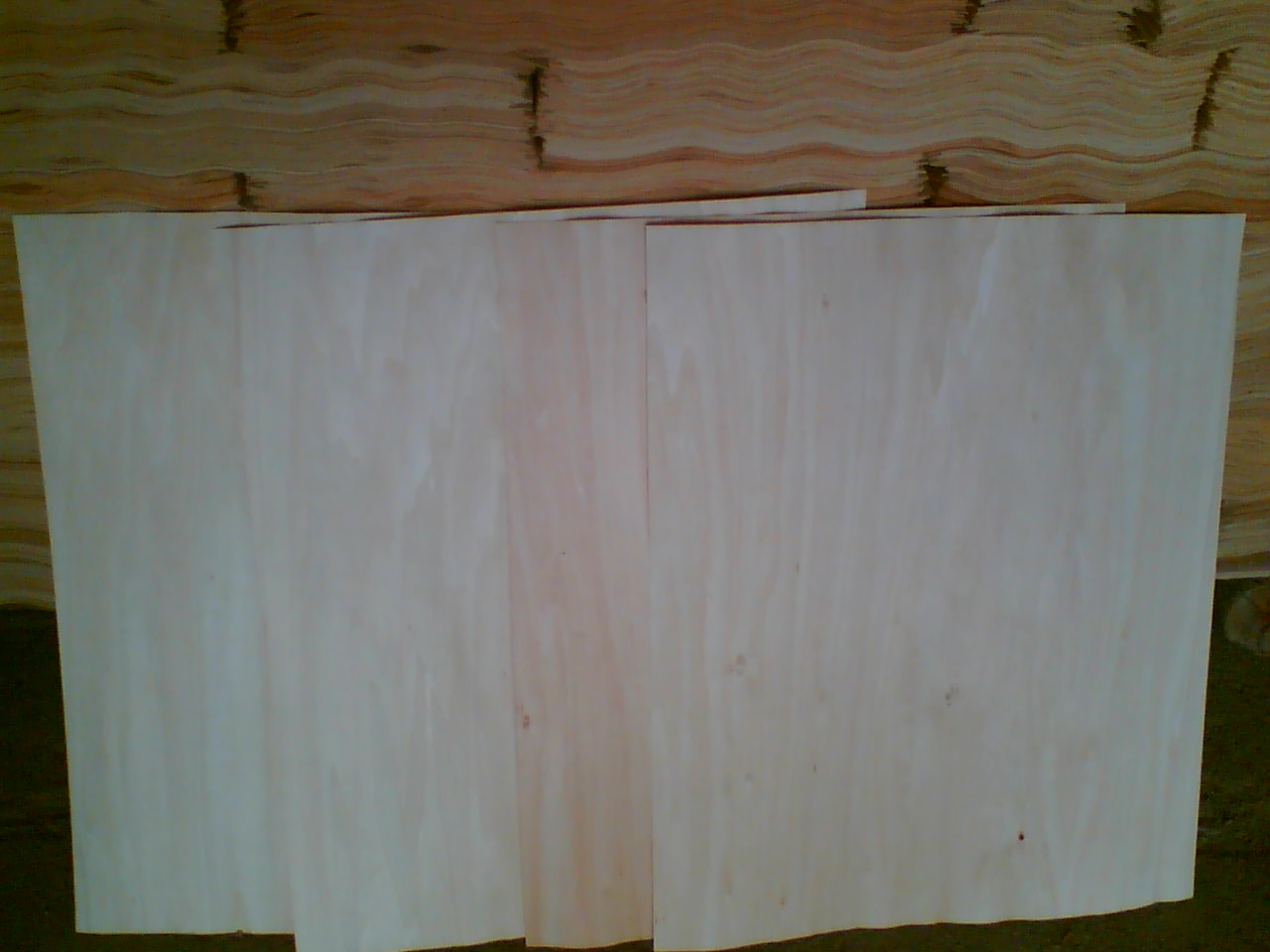 �ľ�ΰ��Ԕ��(x��)��B