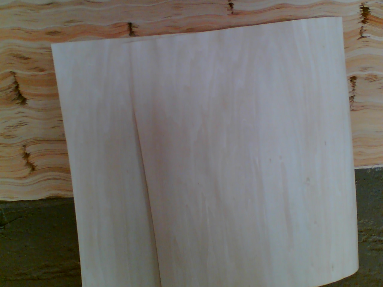 ��ľ�ΰ��Ԕ��(x��)��B