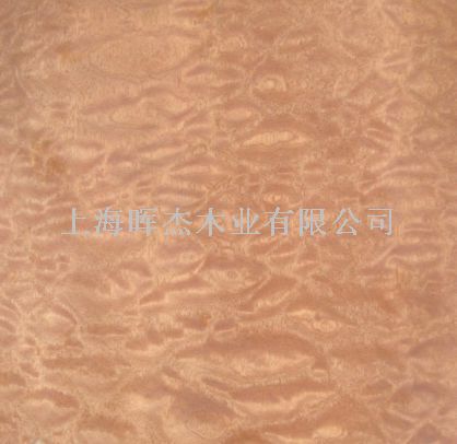 ��Ӱɳ���� ľƤ