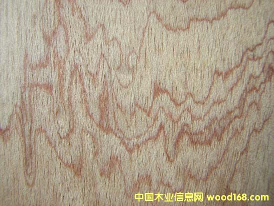 ��Ƥ骵�Ԕ��(x��)��B