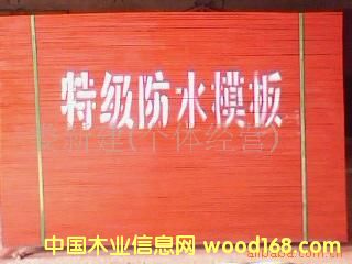 �c���鿴����ľģ��Ŵ�DƬ