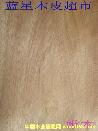 ����ľ��Ԕ��(x��)��B