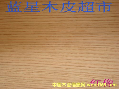 �t��ľƤ��Ԕ��(x��)��B