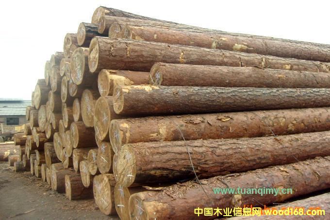 ��(y��u)�|(zh��)Խ�����V����ľ����(y��ng)13097750139