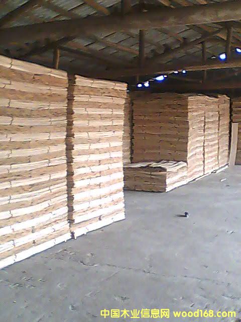 �c(di��n)���鿴��ľ�ΰ�Ŵ�DƬ