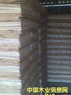 �c(di��n)���鿴�ΰ�Ŵ�DƬ