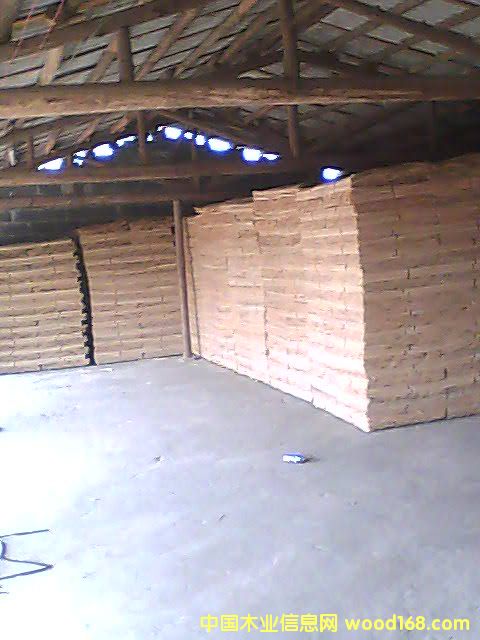 �c(di��n)���鿴��ľ�ΰ�Ŵ�DƬ