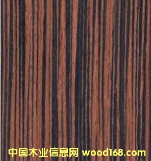 ��̴ľƤ��Ԕ��(x��)��B