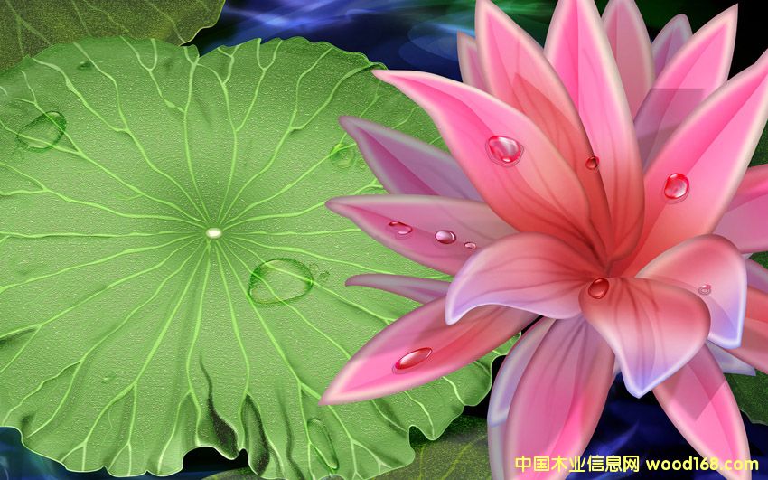 �c���鿴��������Ŵ�DƬ