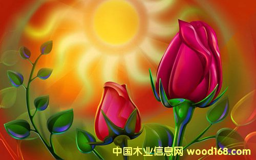 �c���鿴������Ŵ�DƬ