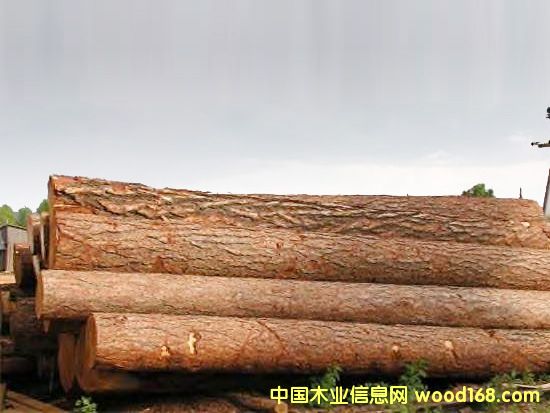 �c���鿴���~�ɷŴ�DƬ