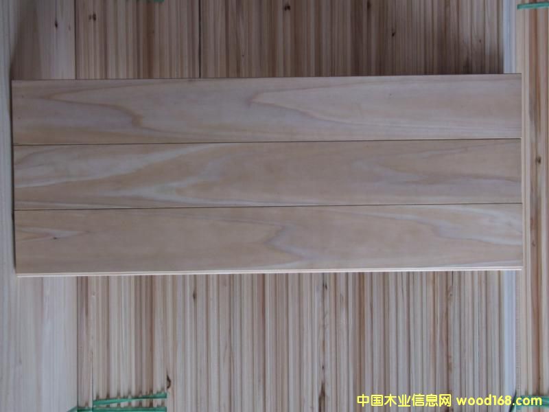 �c���鿴ɼľ�ذ�Ŵ�DƬ