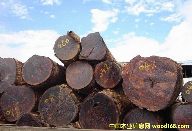 �c(di��n)���鿴������ľ�Ŵ�DƬ