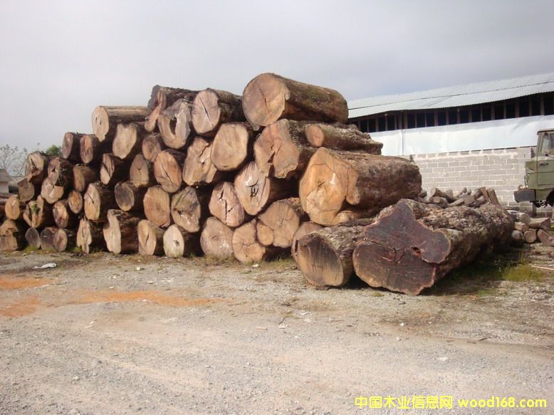 �c(di��n)���鿴���黨��ľ�Ŵ�DƬ