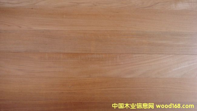 �c(di��n)���鿴��ľ�ذ�Ŵ�DƬ