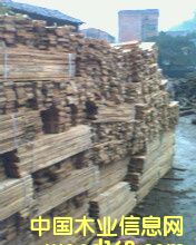 �c���鿴��ľ��.�sľ��Ŵ�DƬ