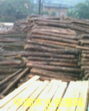 �c���鿴��Ʒ�Ŵ�DƬ