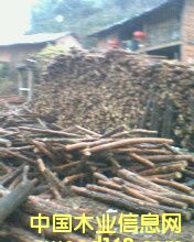 �c���鿴�S �D�Ŵ�DƬ