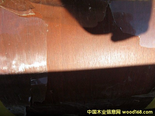 �c���鿴ľ�yĤ�Ŵ�DƬ