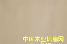 �c���鿴meranti plywood��Ԕ���Y��