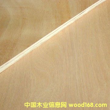 �c���鿴�t����Ӱ��Ԕ���Y��